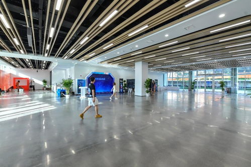 相約湖北 夢幻靈境AI展演中心即將開館，共探網絡技術開發新前沿